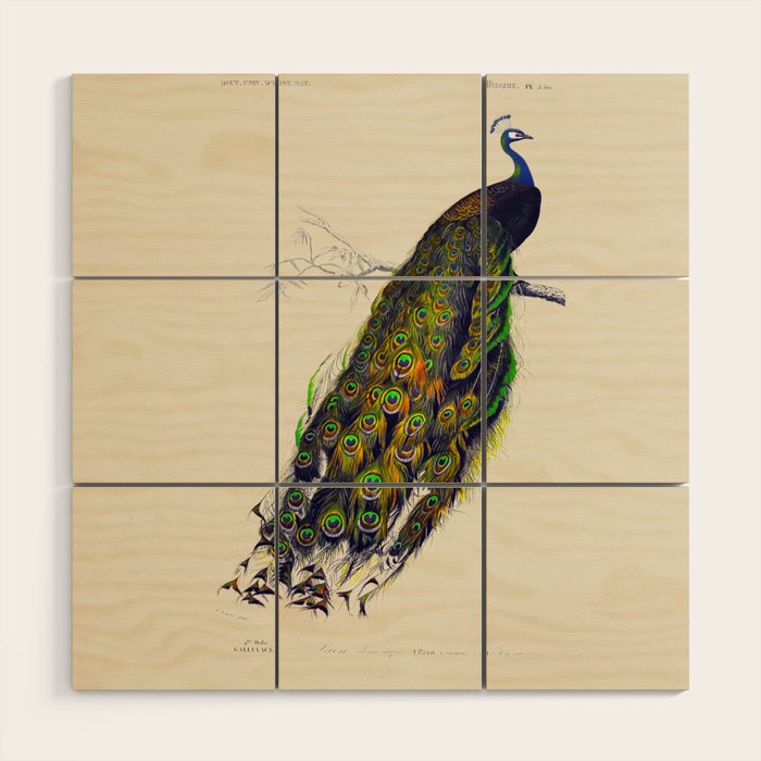 Vintage Peacock Wood Wall Art Gallery Image 1