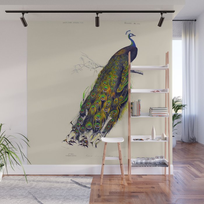 Vintage Peacock Wall Mural Gallery Image 1