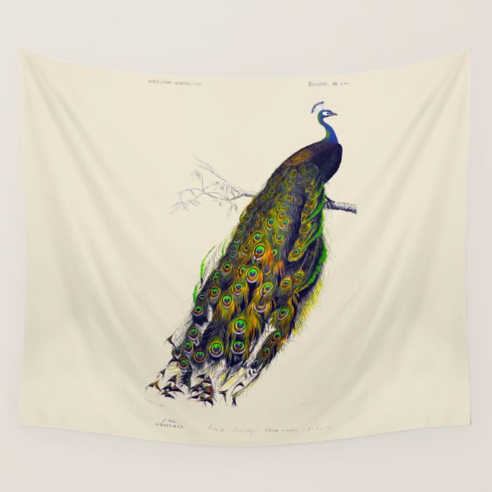 Vintage Peacock Wall Tapestry Gallery Image 1