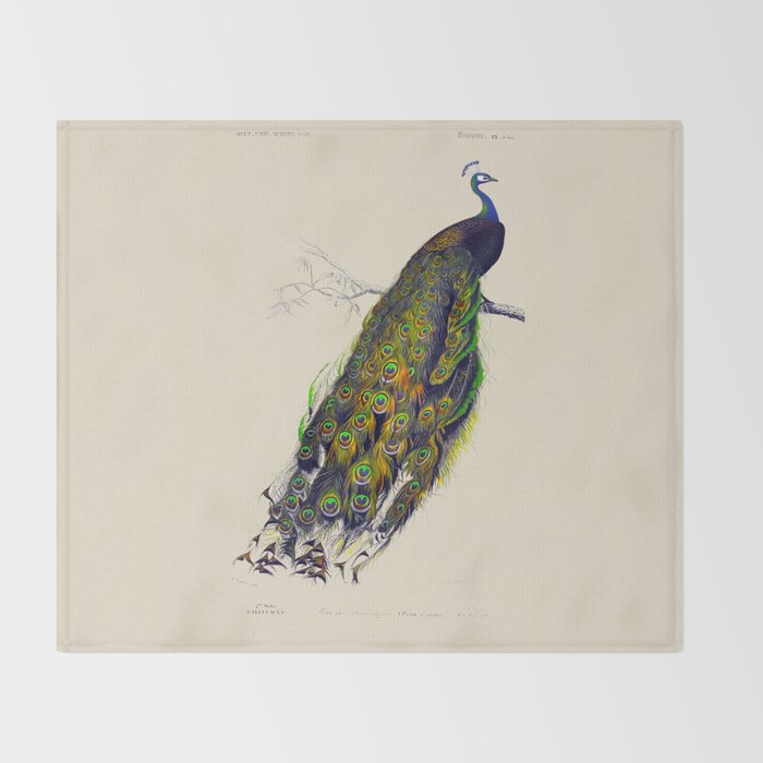Vintage Peacock Throw Blanket Gallery Image 2