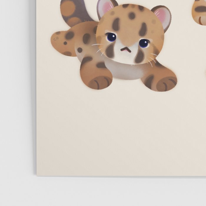 The year of big cat cubs Poster Gallery Image 3