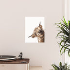 Sneaky Highland Cow Poster Gallery Image 2