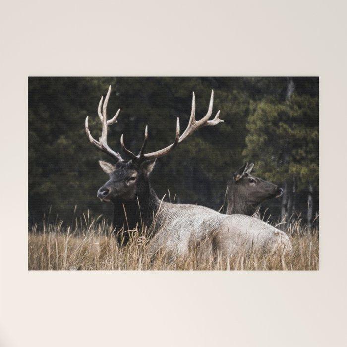 Two Elk in the Canadian Rocky Mountains Welcome Mat Gallery Image 1