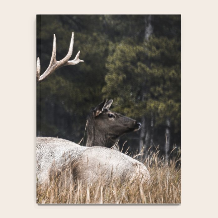 Two Elk in the Canadian Rocky Mountains Notebook Gallery Image 4