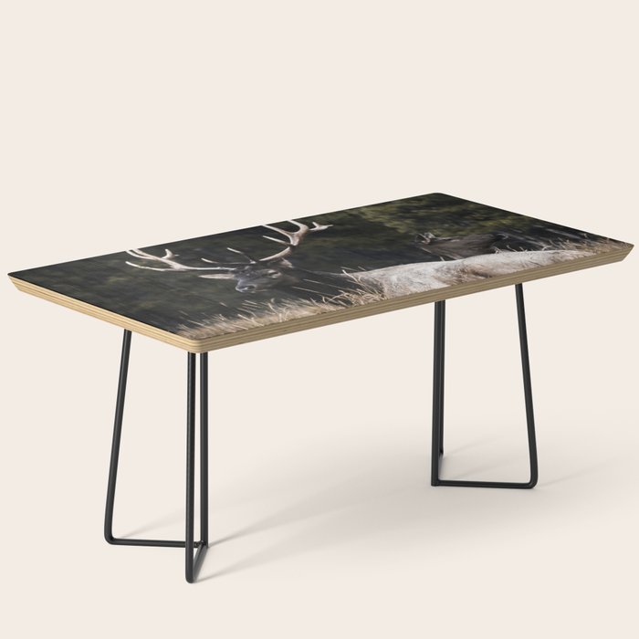 Two Elk in the Canadian Rocky Mountains Coffee Table Gallery Image 1