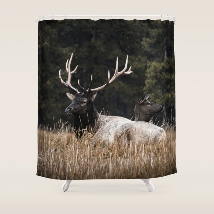 Two Elk in the Canadian Rocky Mountains Shower Curtain Gallery Image 1