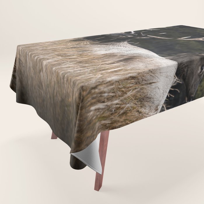 Two Elk in the Canadian Rocky Mountains Tablecloth Gallery Image 1