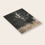 Two Elk in the Canadian Rocky Mountains Notebook Gallery Image 3
