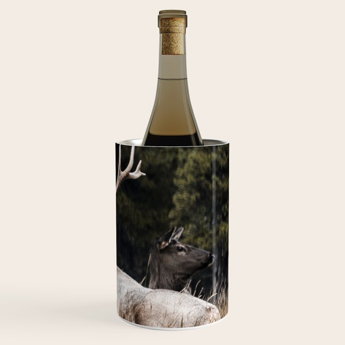 Two Elk in the Canadian Rocky Mountains Wine Chiller Gallery Image 3