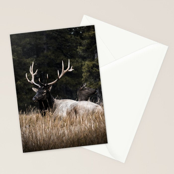 Two Elk in the Canadian Rocky Mountains Stationery Card Gallery Image 2