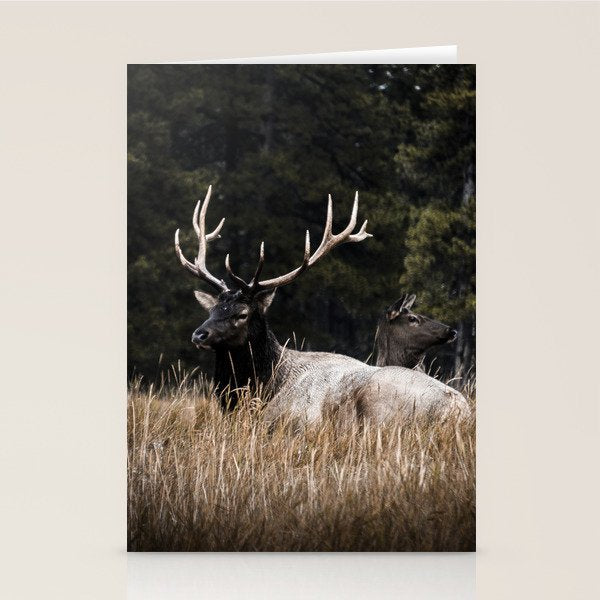 Two Elk in the Canadian Rocky Mountains Stationery Card Gallery Image 2