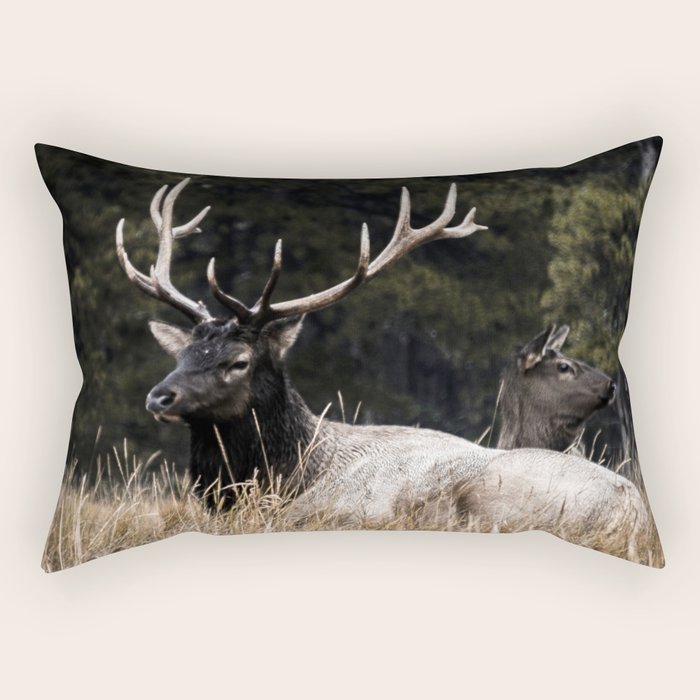 Two Elk in the Canadian Rocky Mountains Rectangular Pillow Gallery Image 1