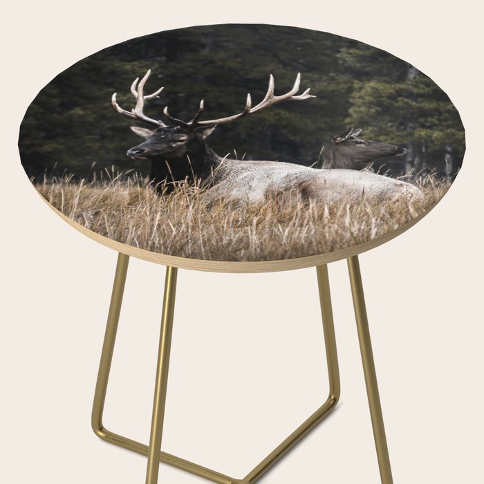 Two Elk in the Canadian Rocky Mountains Side Table Gallery Image 2