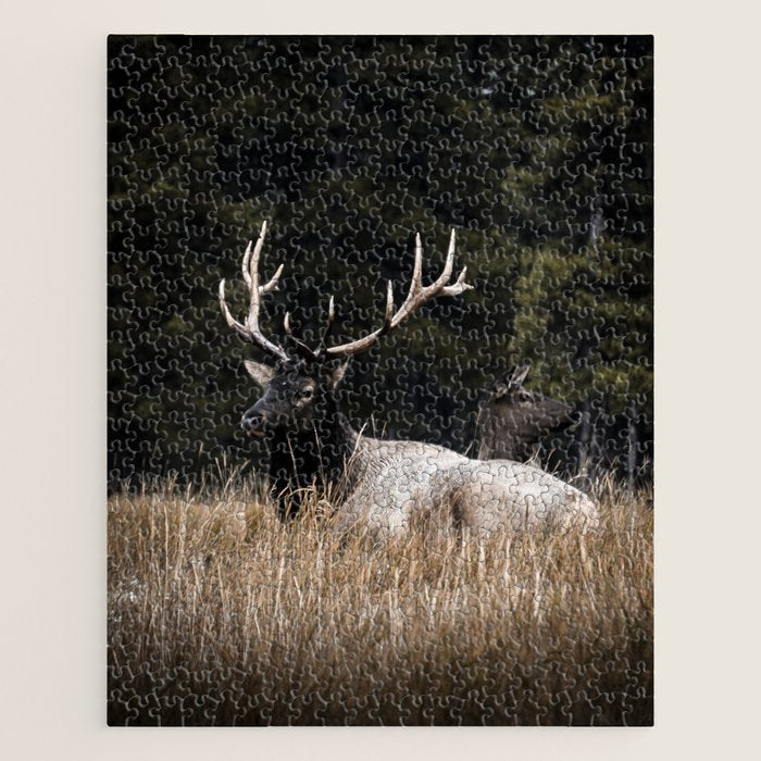 Two Elk in the Canadian Rocky Mountains Jigsaw Puzzle Gallery Image 1