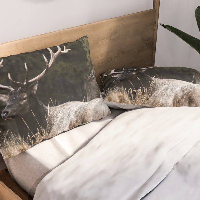 Two Elk in the Canadian Rocky Mountains Pillow Sham Gallery Image 2