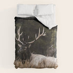 Two Elk in the Canadian Rocky Mountains Duvet Cover Gallery Image 6