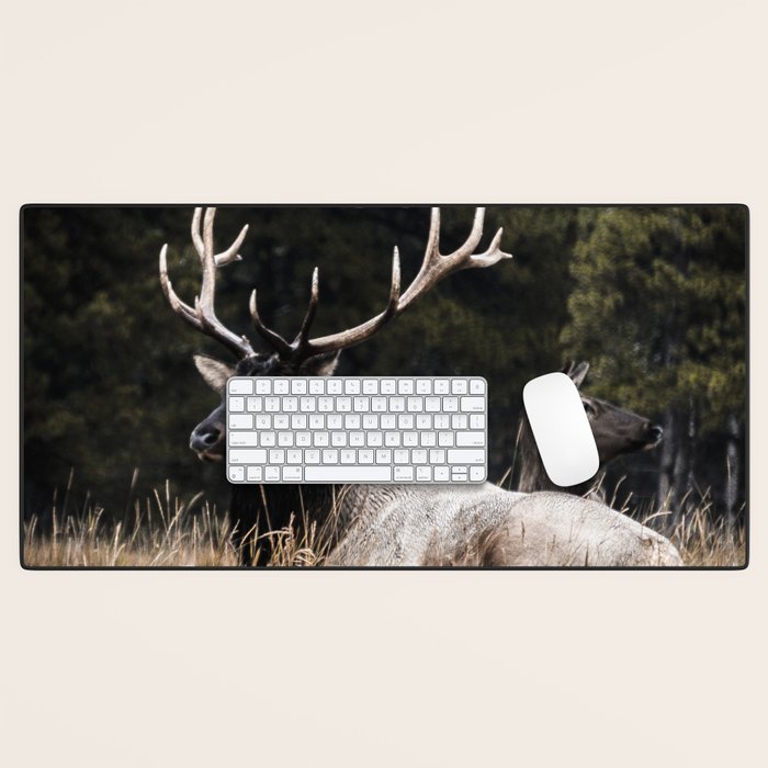 Two Elk in the Canadian Rocky Mountains Desk Mat Gallery Image 1