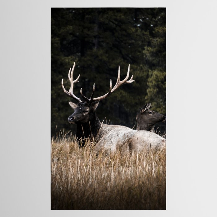 Two Elk in the Canadian Rocky Mountains Tablecloth Gallery Image 2