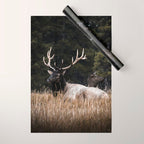 Two Elk in the Canadian Rocky Mountains Wrapping Paper Gallery Image 1
