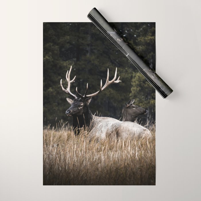 Two Elk in the Canadian Rocky Mountains Wrapping Paper Gallery Image 1