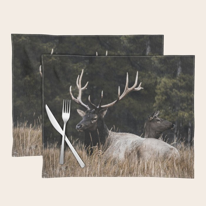 Two Elk in the Canadian Rocky Mountains Placemat Gallery Image 1