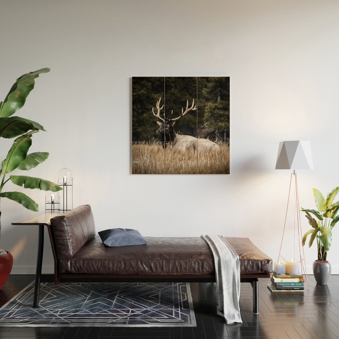 Two Elk in the Canadian Rocky Mountains Wood Wall Art Gallery Image 2