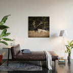 Two Elk in the Canadian Rocky Mountains Wood Wall Art Gallery Image 2