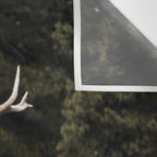 Two Elk in the Canadian Rocky Mountains Wall Tapestry Gallery Image 3