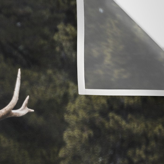 Two Elk in the Canadian Rocky Mountains Wall Tapestry Gallery Image 3