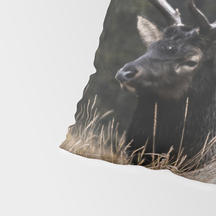 Two Elk in the Canadian Rocky Mountains Pillow Sham Gallery Image 4