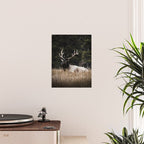 Two Elk in the Canadian Rocky Mountains Poster Gallery Image 2