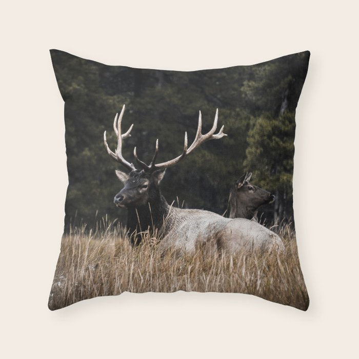 Two Elk in the Canadian Rocky Mountains Throw Pillow Gallery Image 6