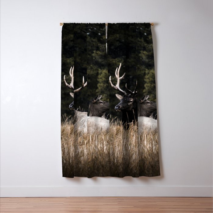 Two Elk in the Canadian Rocky Mountains Window Curtain Gallery Image 3
