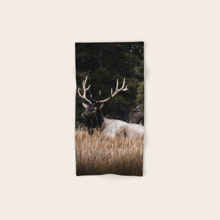 Two Elk in the Canadian Rocky Mountains Bath Towel Gallery Image 1