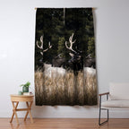 Two Elk in the Canadian Rocky Mountains Window Curtain Gallery Image 5