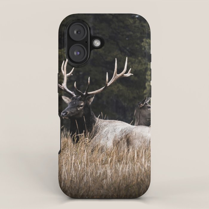Two Elk in the Canadian Rocky Mountains iPhone Case Gallery Image 1