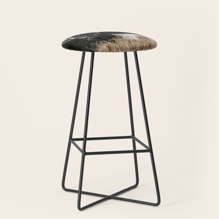 Two Elk in the Canadian Rocky Mountains Stool Gallery Image 1