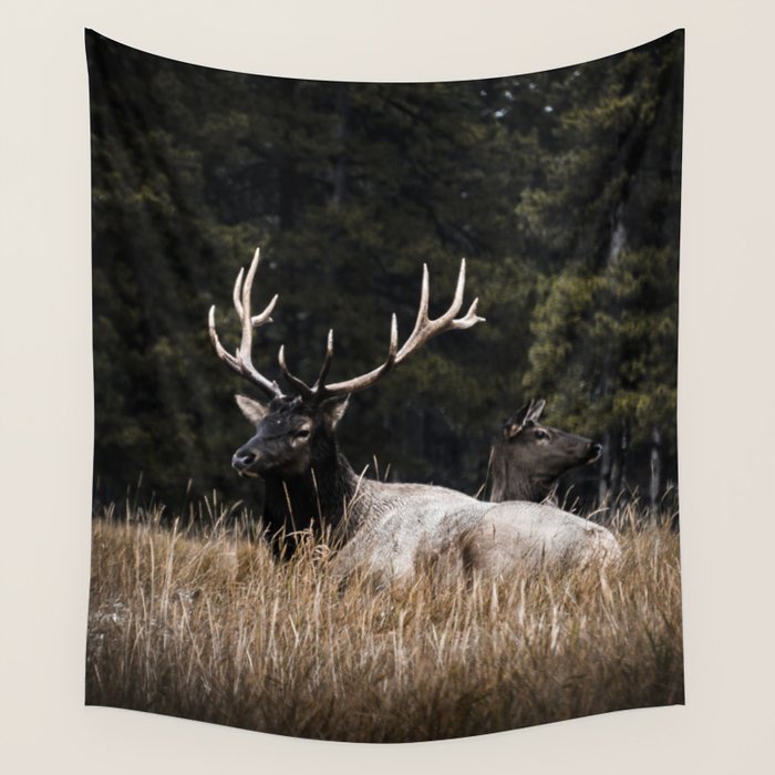 Two Elk in the Canadian Rocky Mountains Wall Tapestry Gallery Image 4