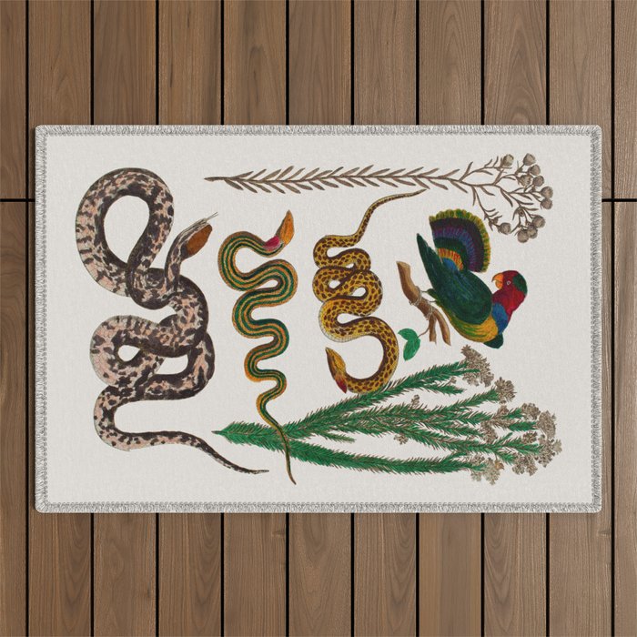 Snakes Birds Sunflower Art Print by Albertus Seba Outdoor Rug Gallery Image 1