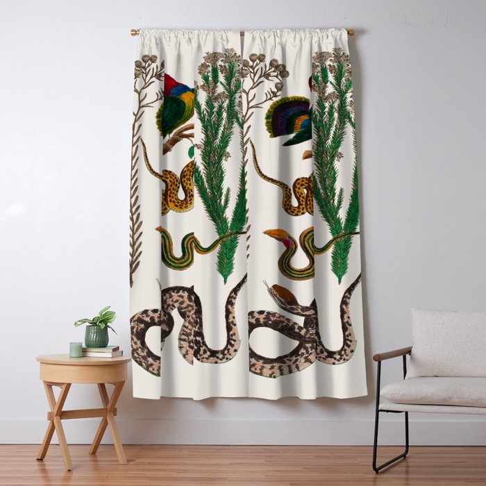 Snakes Birds Sunflower Art Print by Albertus Seba Window Curtain Gallery Image 5