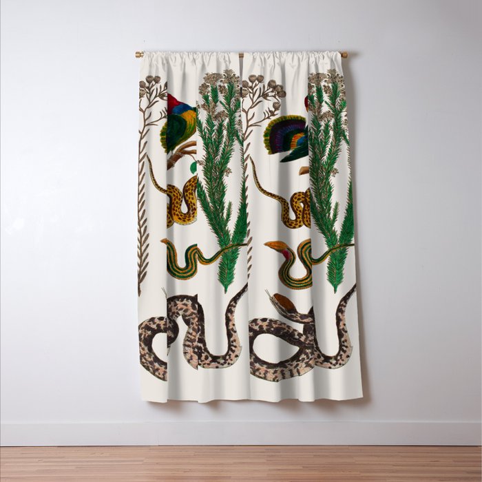 Snakes Birds Sunflower Art Print by Albertus Seba Window Curtain Gallery Image 3
