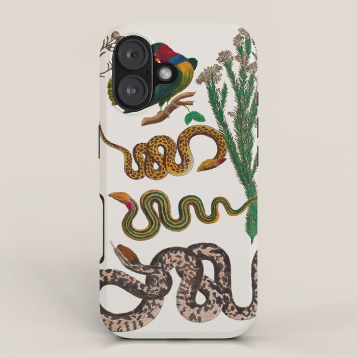 Snakes Birds Sunflower Art Print by Albertus Seba iPhone Case Gallery Image 1