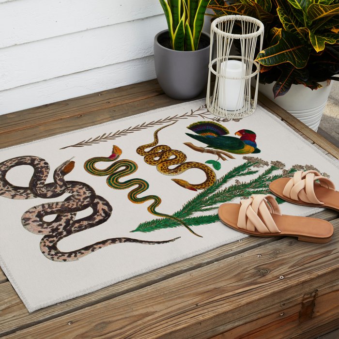 Snakes Birds Sunflower Art Print by Albertus Seba Outdoor Rug Gallery Image 2
