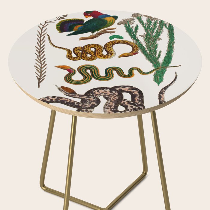 Snakes Birds Sunflower Art Print by Albertus Seba Side Table Gallery Image 2
