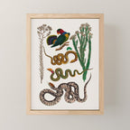 Snakes Birds Sunflower Art Print by Albertus Seba Mini Art Print Gallery Image 1