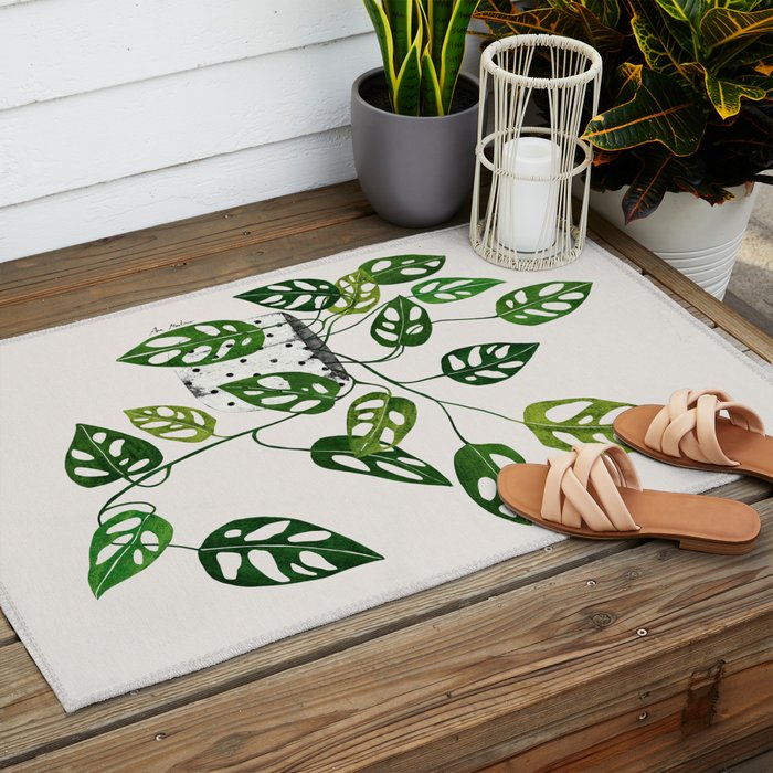 Monstera obliqua interior plant Outdoor Rug Gallery Image 2