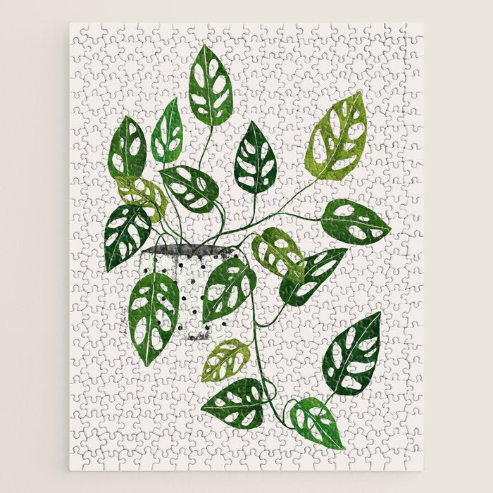 Monstera obliqua interior plant Jigsaw Puzzle Gallery Image 1