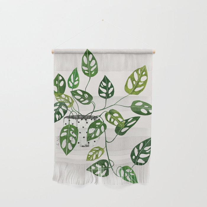 Monstera obliqua interior plant Wall Hanging Gallery Image 1