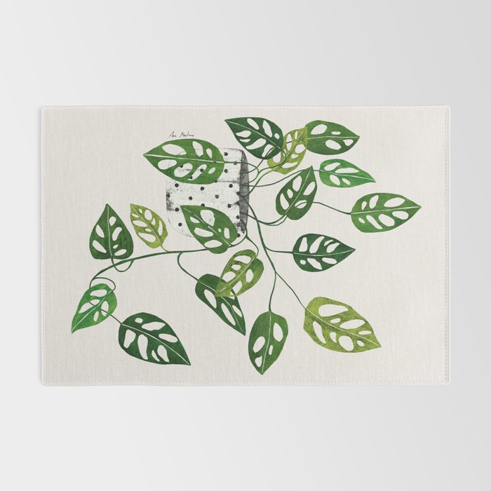 Monstera obliqua interior plant Rug Gallery Image 2