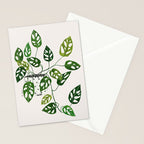 Monstera obliqua interior plant Stationery Card Gallery Image 2